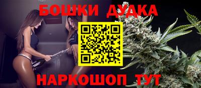 индика Анапа