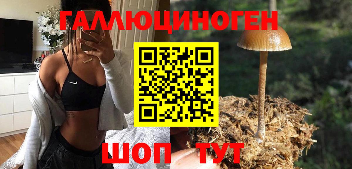 Псилоцибиновые грибы Psilocybine cubensis  Псилоцибиновые грибы Psilocybine cubensis  Гай  Вход с VPN 